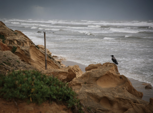 A stormy winter day in Israel. (Photo by Hadas Parush/Flash90.)