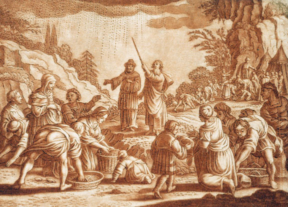 The Israelites gathering manna, from a Bible engraving by Gabriel Bodenehr, ca. early 1700s.