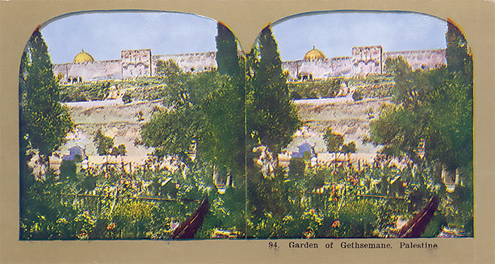 Stereograph of the Garden of Gethsemane, 1870–1890. (Patricia D. Klingenstein Library, New-York Historical Society.) 
