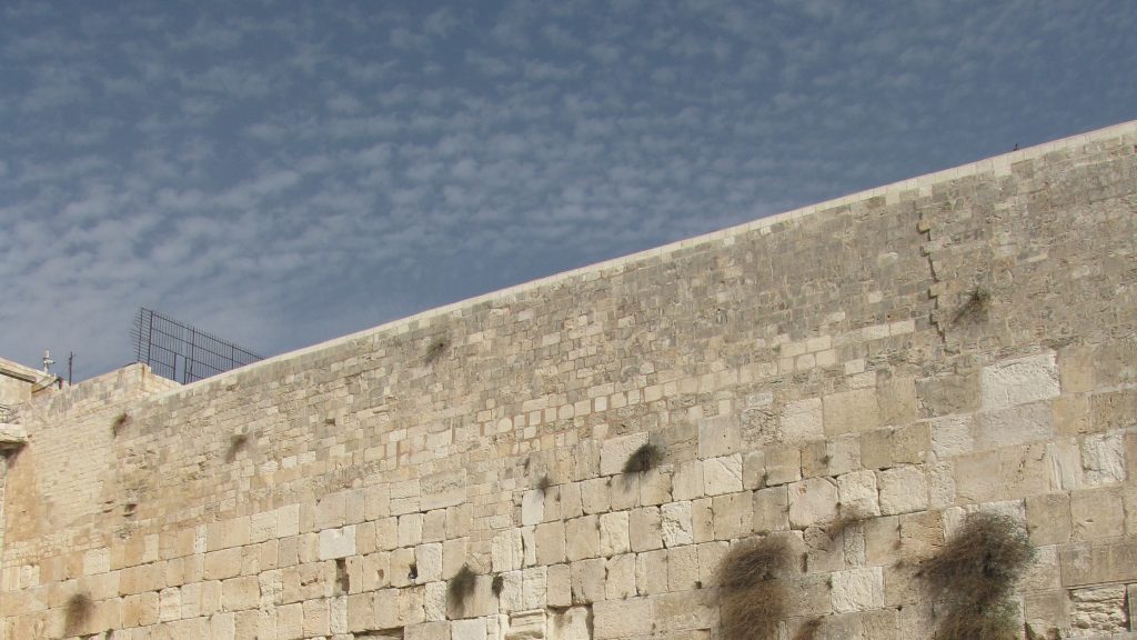 Why the Kotel Must Be Governed: A Response