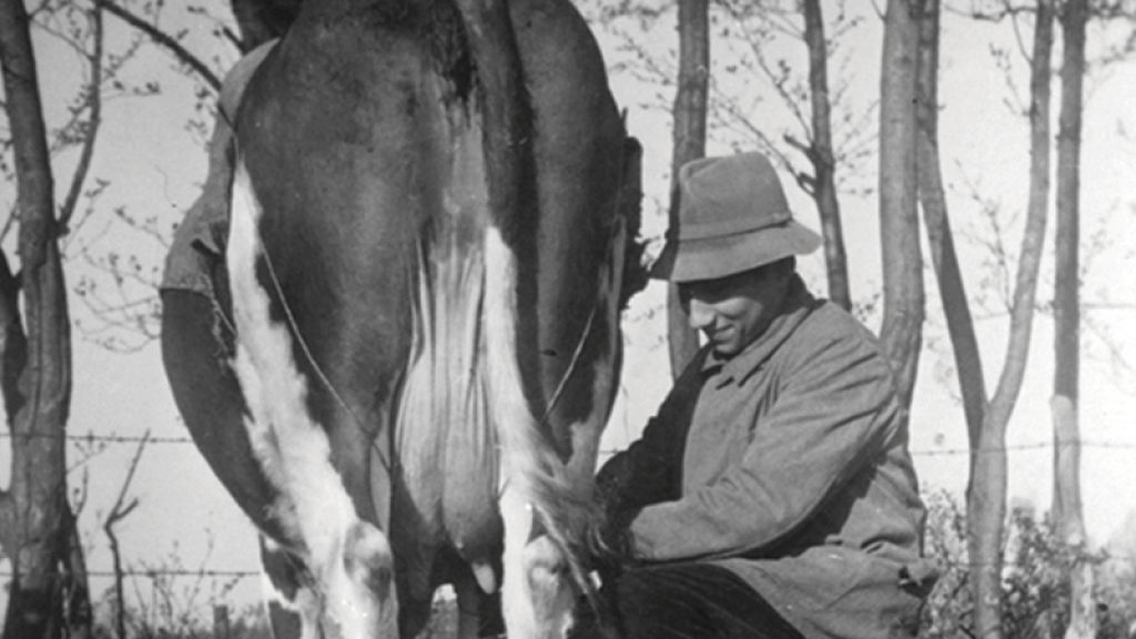 My Father’s Resistance: A Memoir