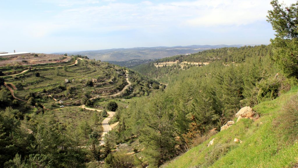 Which Religious Zionism—and Which Cliff? A Response to Hillel Halkin