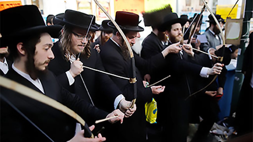 Beauty within Beauty: How Lag BaOmer Stopped a Plague